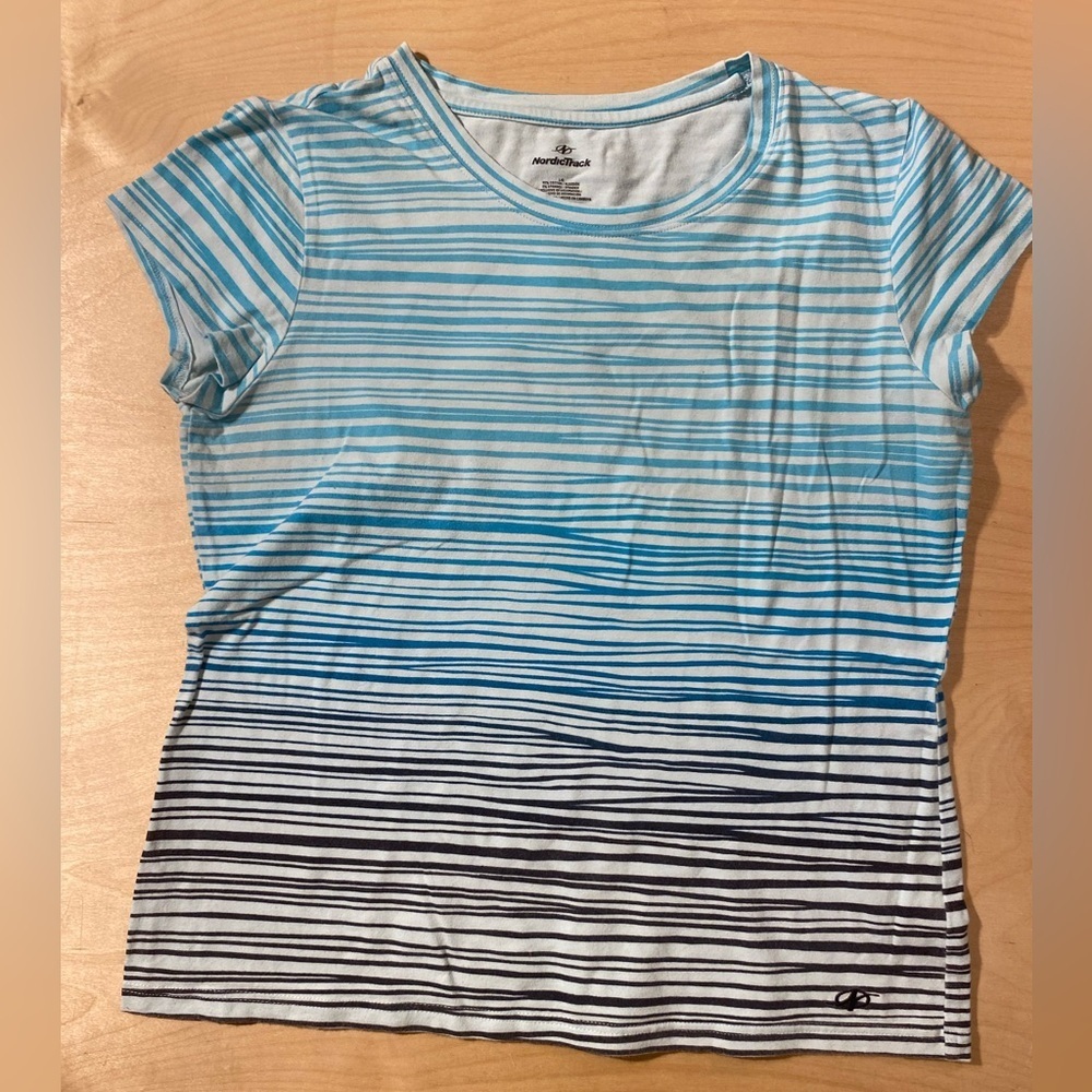 Nordic Track Blue Striped Shirt Large (QB)